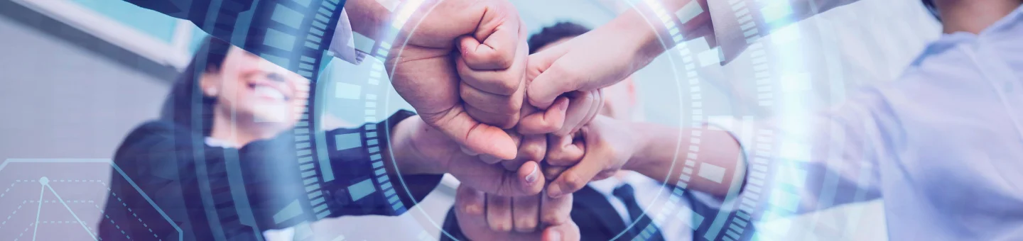 Netsuite Customization